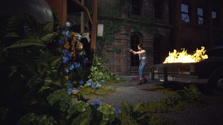 The Florist capture d'écran 4 — PC (Microsoft Windows), Nintendo Switch 2, PlayStation 5