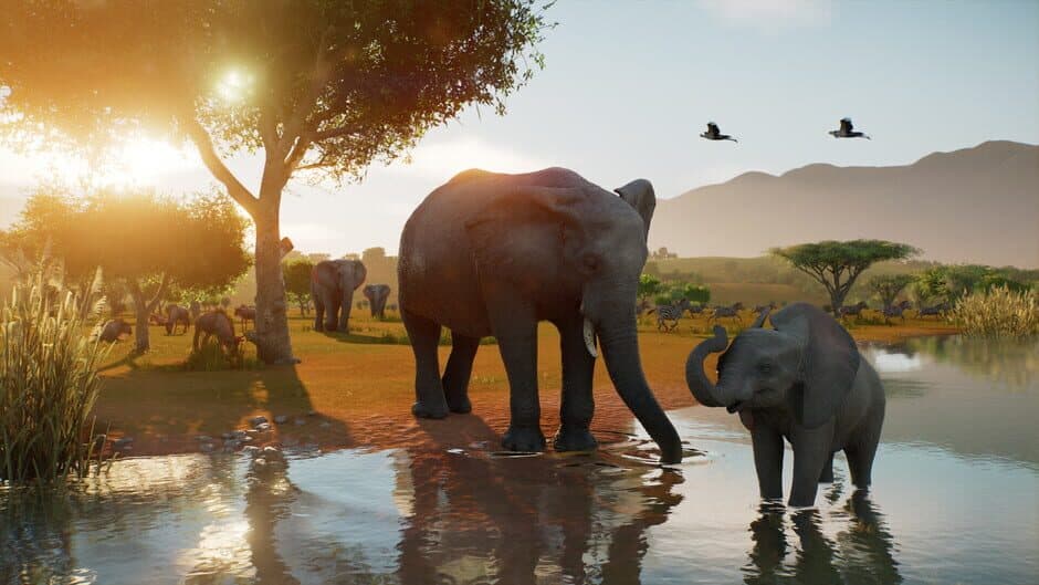 Planet Zoo 2 capture d'écran 1 — Xbox Series X|S, PC (Microsoft Windows), PlayStation 5