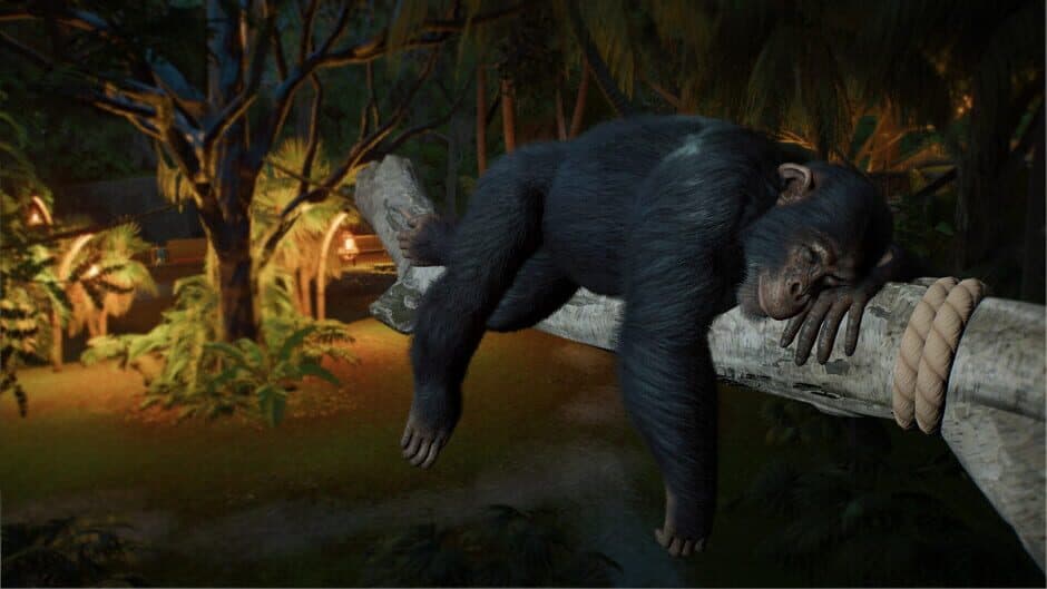 Planet Zoo 2 capture d'écran 5 — Xbox Series X|S, PC (Microsoft Windows), PlayStation 5