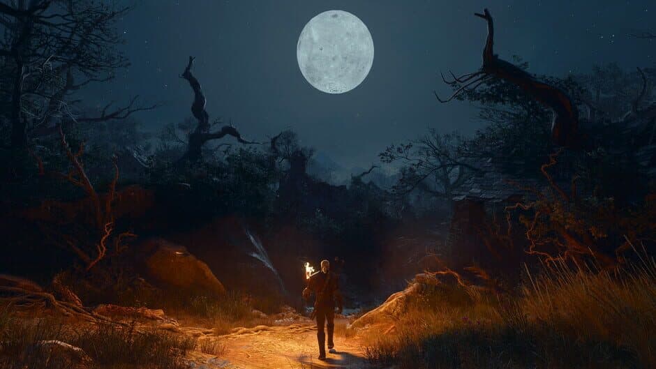 The Witcher 3: Wild Hunt - Songs of the Past capture d'écran 2 — PC (Microsoft Windows), Xbox Series X|S, PlayStation 5, Nintendo Switch 2