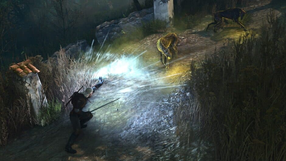 The Witcher 3: Wild Hunt Remastered capture d'écran 5 — PC (Microsoft Windows), Nintendo Switch 2, Xbox Series X|S, PlayStation 5