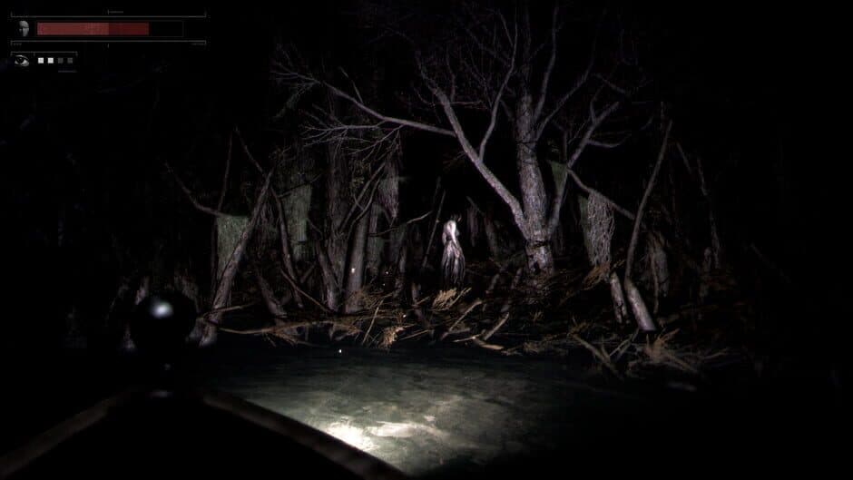 Drowned Lake capture d'écran 5 — PC (Microsoft Windows)