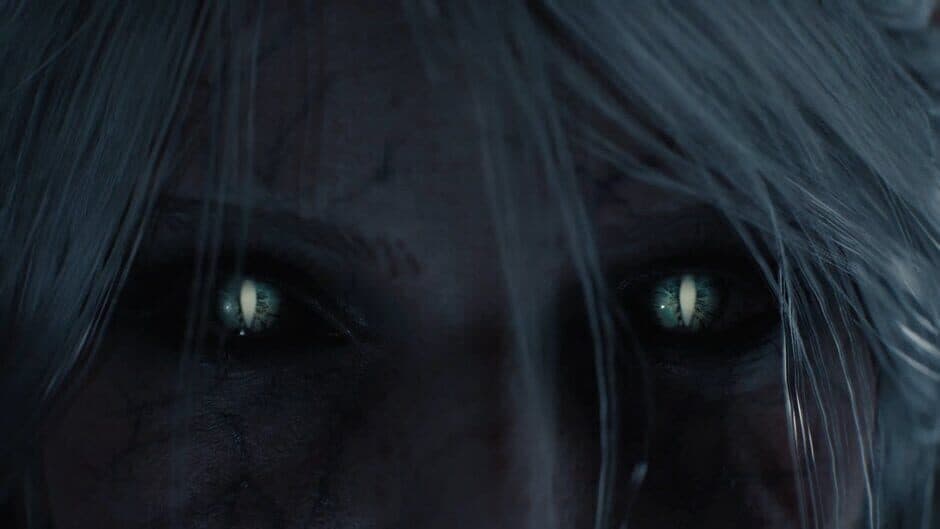 The Witcher IV screenshot 4 — PC (Microsoft Windows), PlayStation 5, Xbox Series X|S