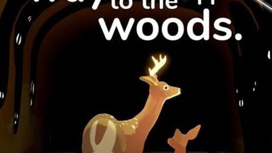 Way to the Woods
