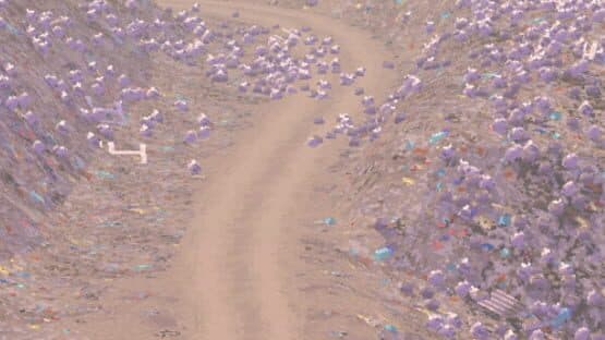 Garbage Country