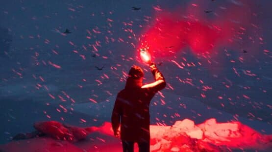 Will: Follow the Light