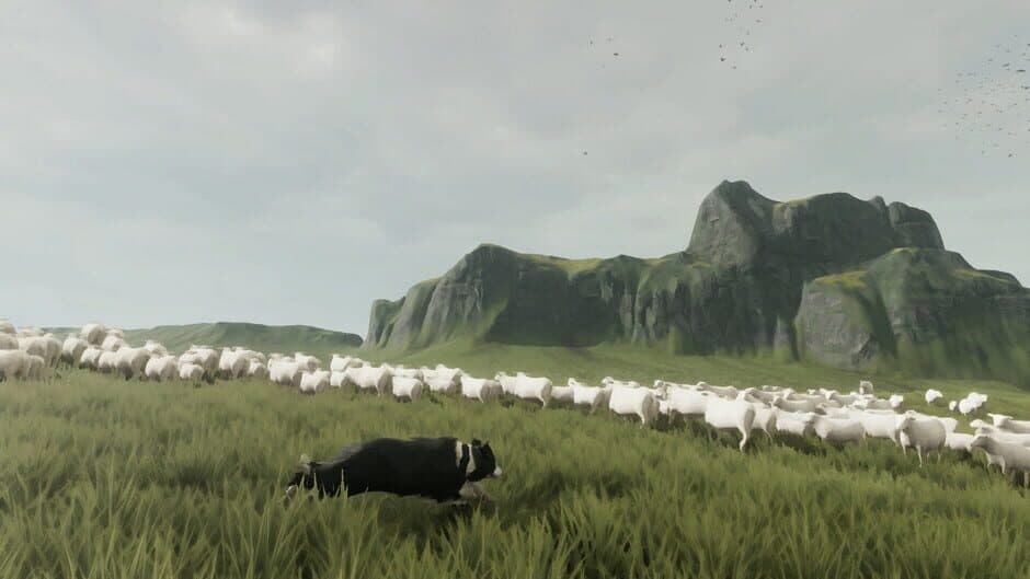 The Free Shepherd capture d'écran 1 — PlayStation 5, PC (Microsoft Windows)